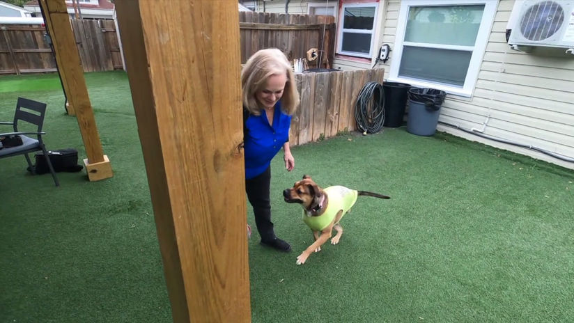 Suncoast Animal League Mission Moment